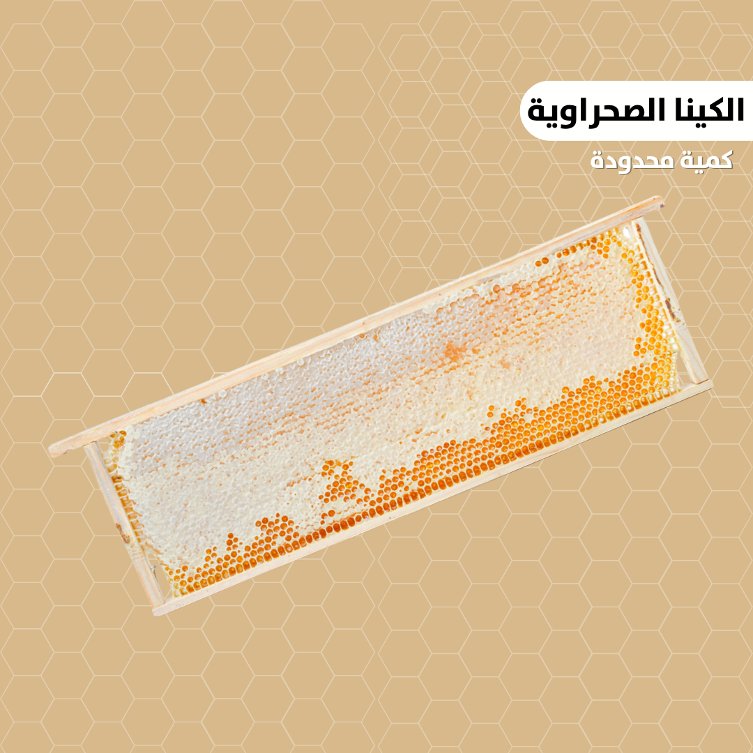 Wadi Rum Eucalyptus Honey – With Comb – 500g